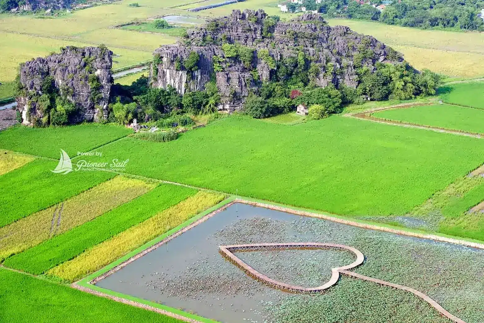 Lotus At Heart Tam Coc North Vietnam