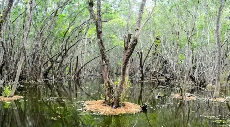 What Makes Frog Pond Lan Ha Bay A Must-Visit Destination?