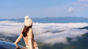 This guide will streamline your journey from Ha Long to Ninh Binh!