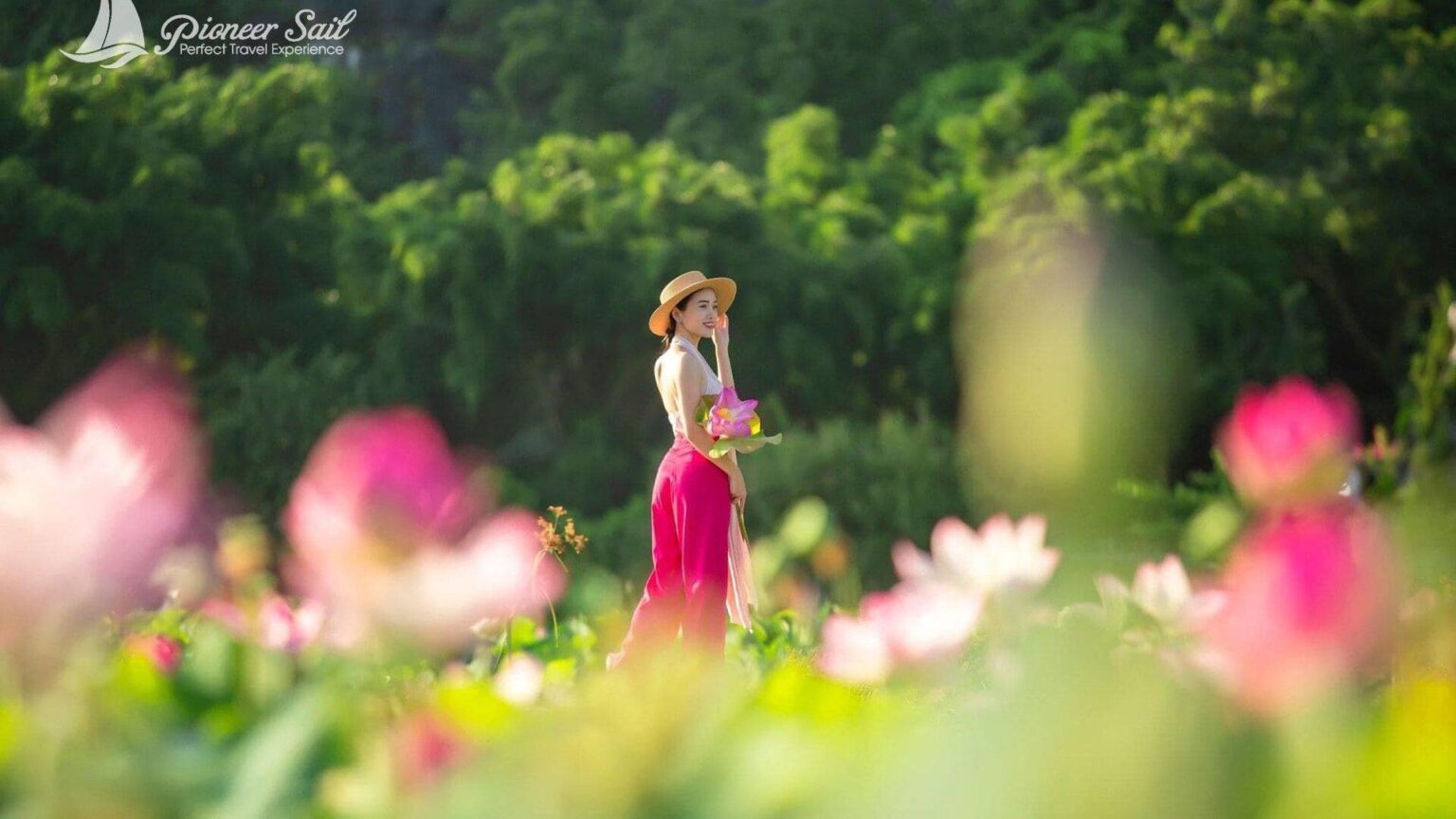 Hoa Lu Trang An 1 Day Trip By Limousine 9