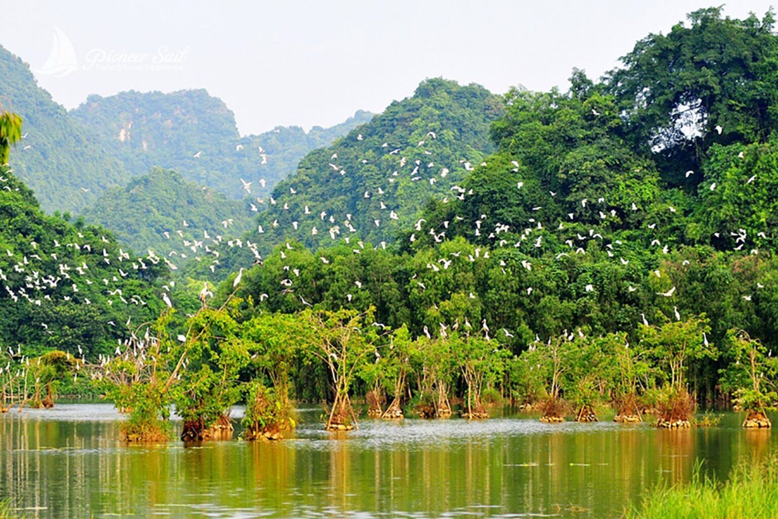 Ninh Binh 3 Days 2 Nights Tour 22